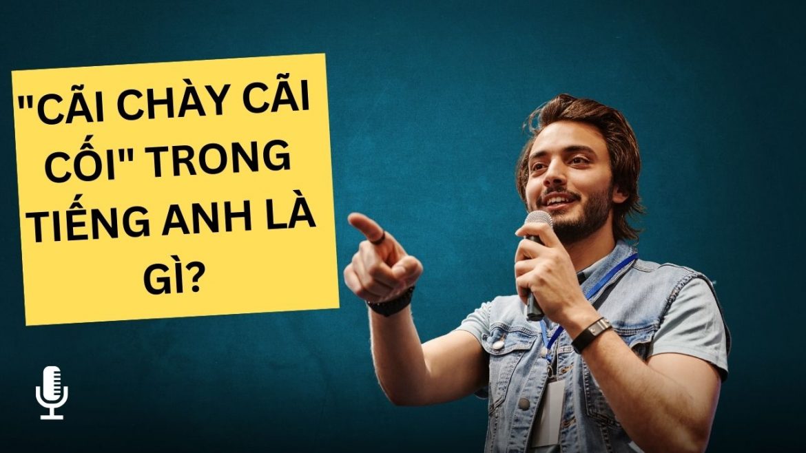 “Cãi Chày Cãi Cối” trong tiếng anh là gì?